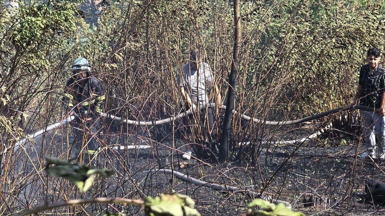 Zonguldak'ta İki Noktada Orman Yangını Söndürüldü