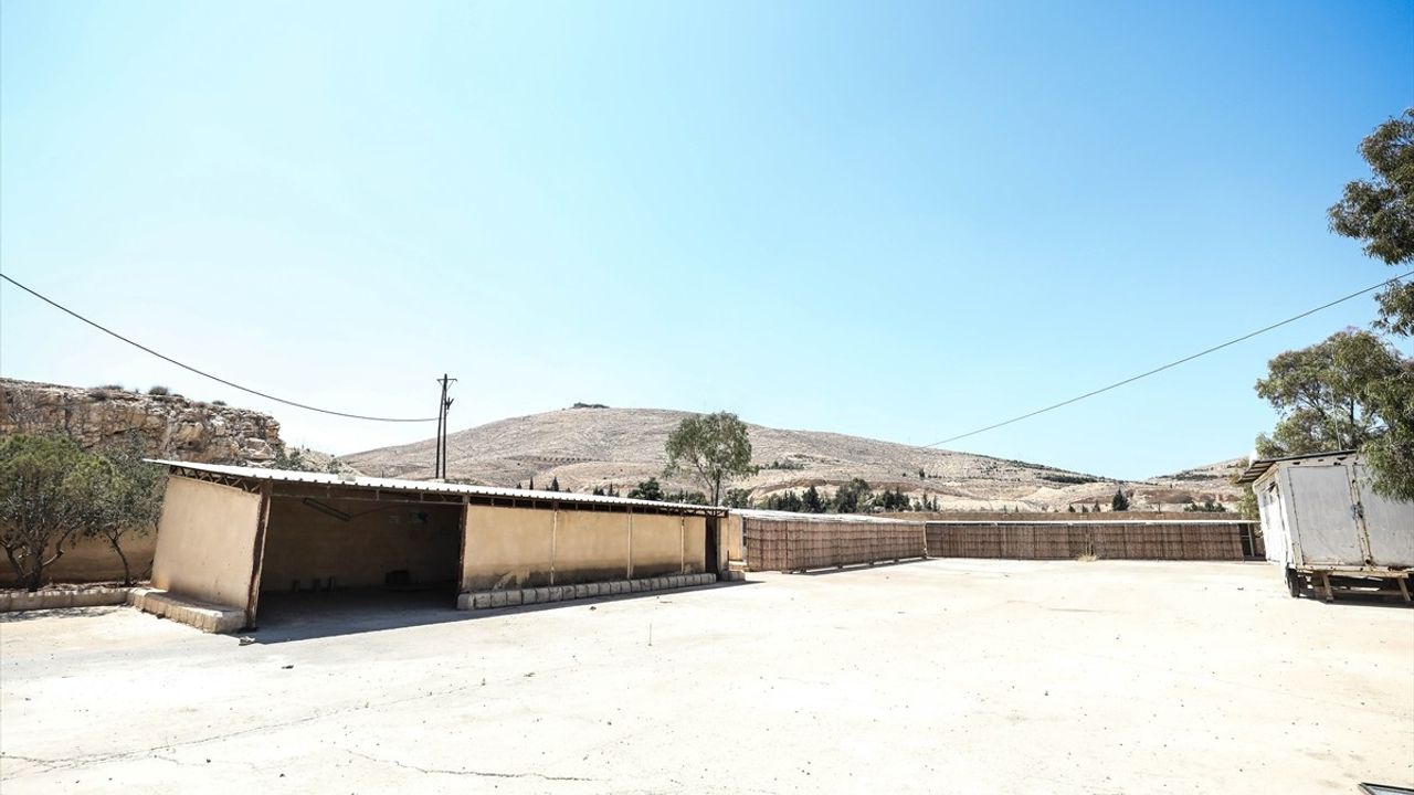 AA, Suriye'de Alıkonulan ABD'li Gazeteci Tice'ın Tutulduğu Yeri Görüntüledi