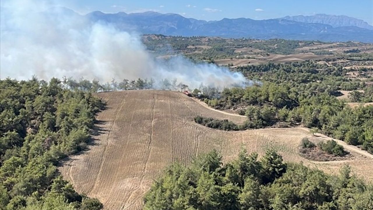 Adana Sarıçam'da Orman Yangını Kontrol Altına Alındı