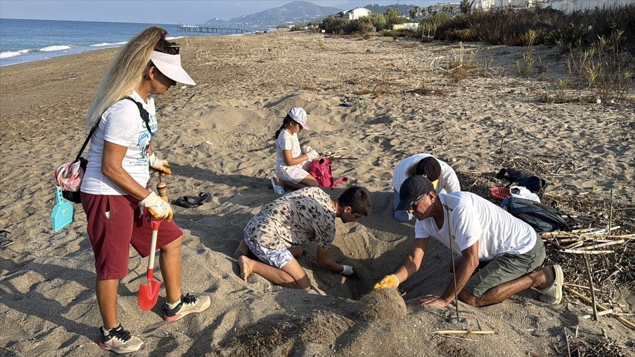 Alanya'da Caretta Caretta Yavrularının Denizle Buluşma Yolculuğu Görüntülendi
