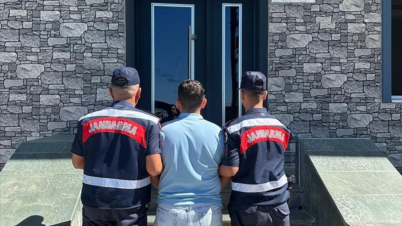 Alanya'da Orman Yangını Kontrol Altına Alındı — Soğutma Çalışmaları ve Gözaltı