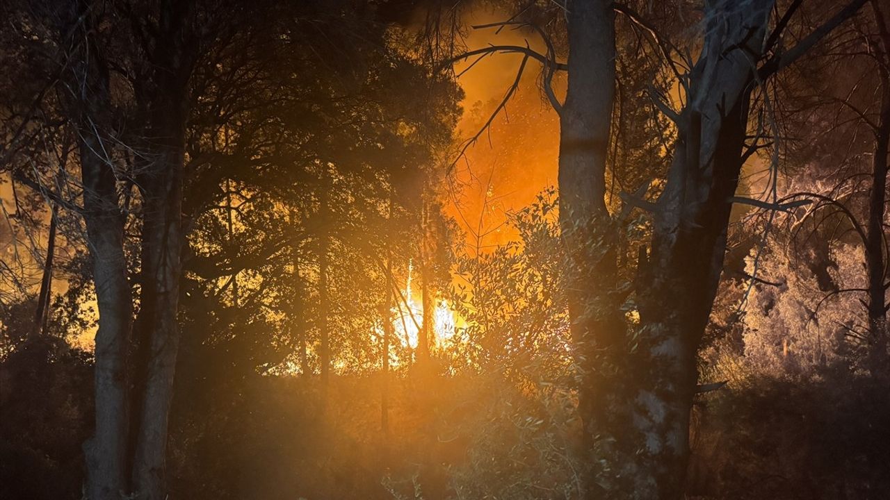 Antalya Aksu'da Orman Yangını: Macun Mahallesi'nde 2 Noktada Müdahale