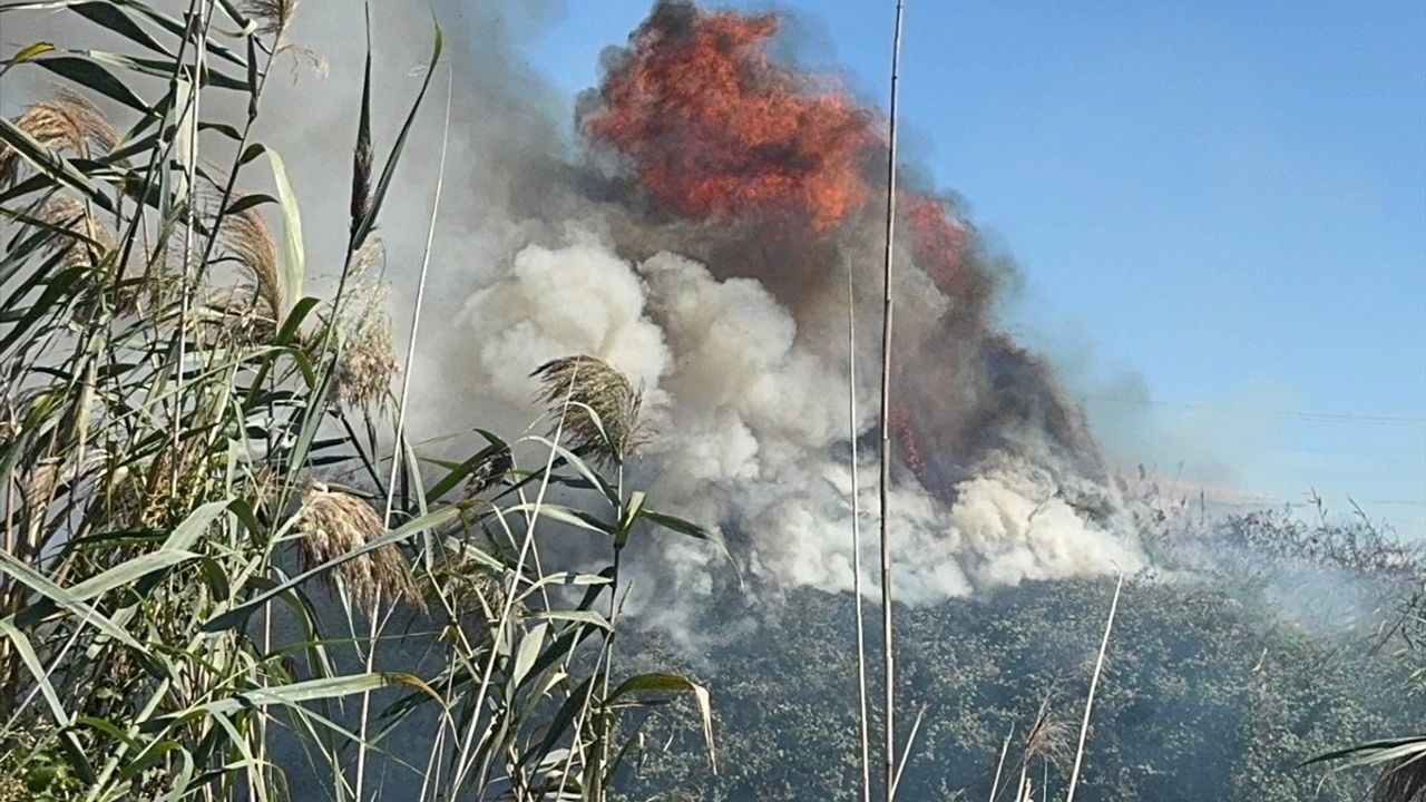 Antalya'da Düden Çayı Kenarındaki Sazlık Yangını Söndürüldü