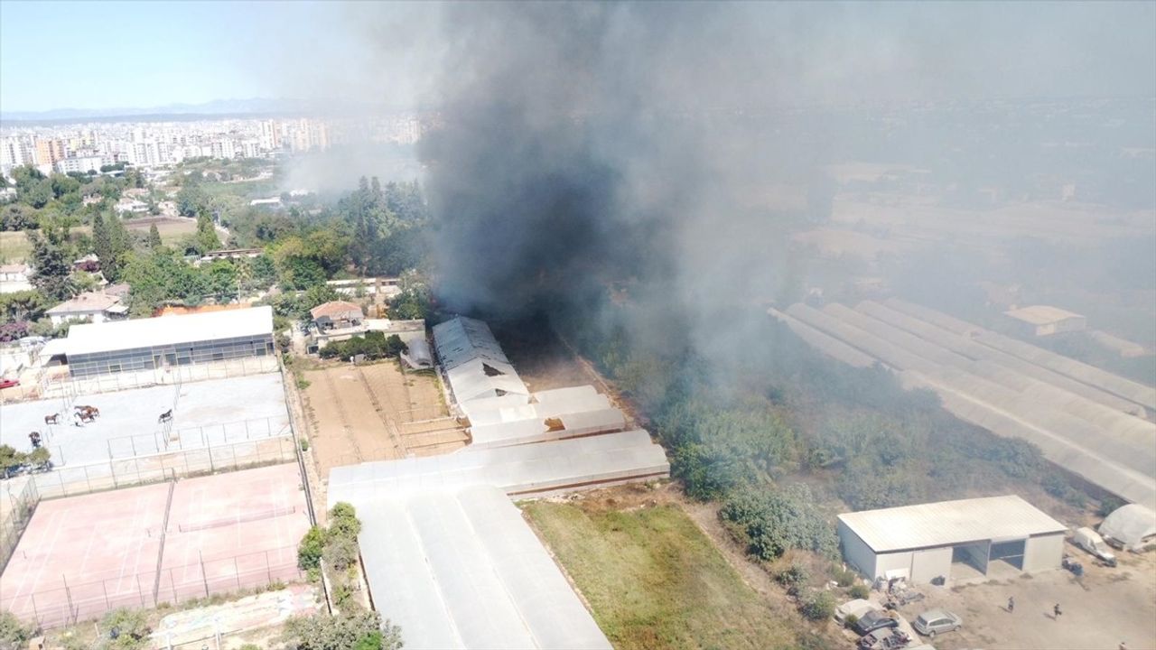 Antalya Muratpaşa'da Sazlık Yangını: Seralar ve Evler Hasar Gördü