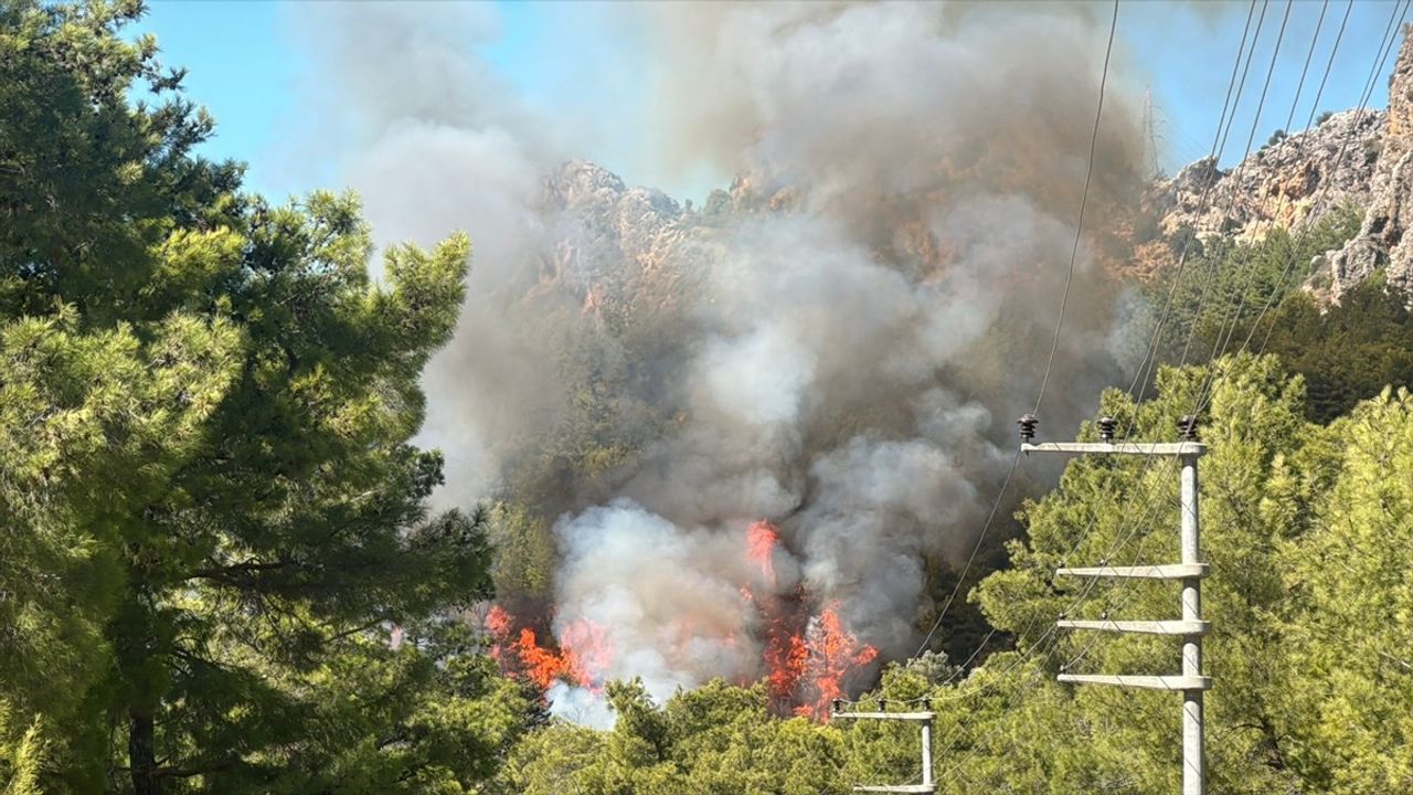 Antalya Serik'te Orman Yangını — Ekipler Müdahale Ediyor