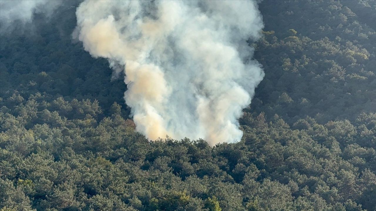 Ataşehir'de Orman Yangını Söndürüldü — Kayışdağı Ferhatpaşa