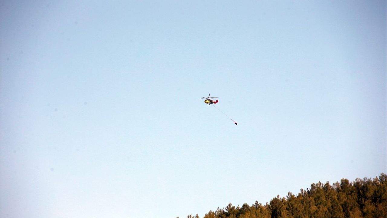 Aydın Çine'de Orman Yangını Kontrol Altına Alındı