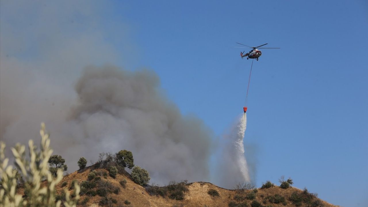 Aydın'da Zeytinlik ve Orman Yangınına Havadan ve Karadan Müdahale