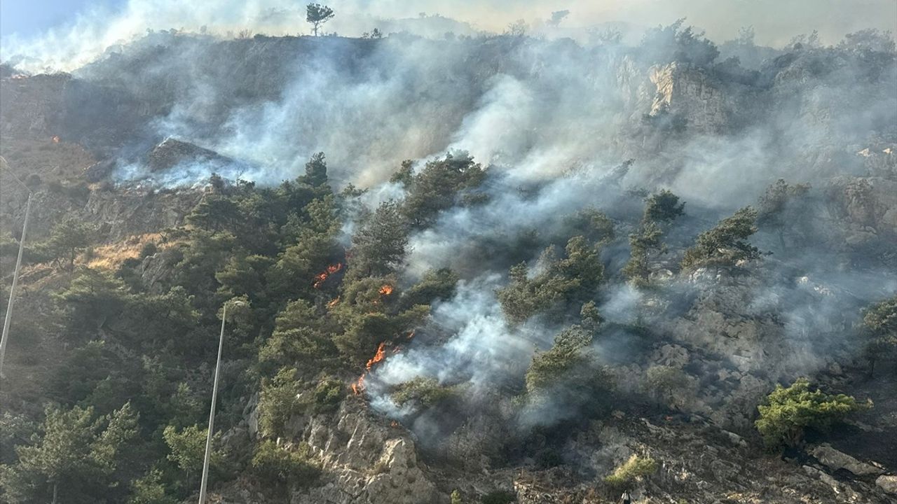 Aydın Söke'de Orman Yangını Kontrol Altına Alındı: 50 Hektar Zarar