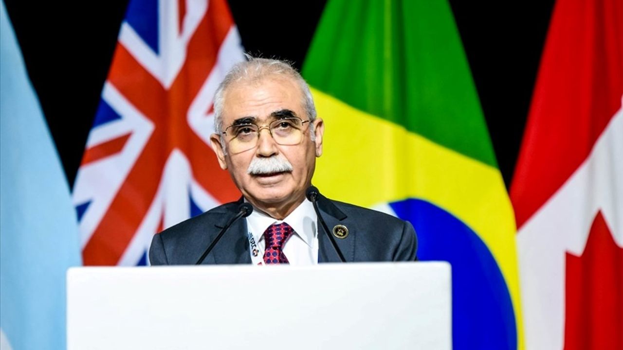 AYM Başkanı Kadir Özkaya J20 Zirvesi'ne Katıldı (Johannesburg, 2-5 Eylül)