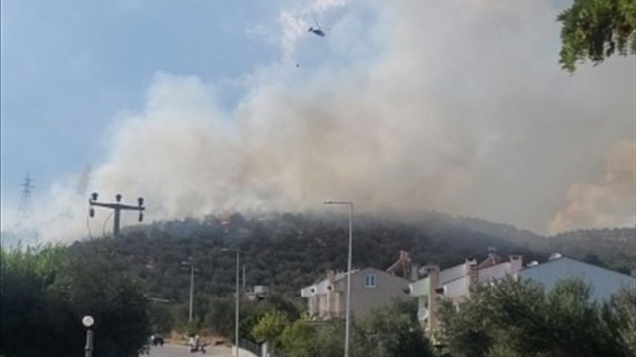Balıkesir Edremit'te Güre Mahallesi'nde Makilik Yangın Kontrol Altına Alındı