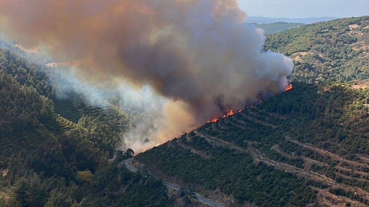 Balıkesir Kepsut'ta kaza sonrası orman yangını — Havadan ve karadan müdahale