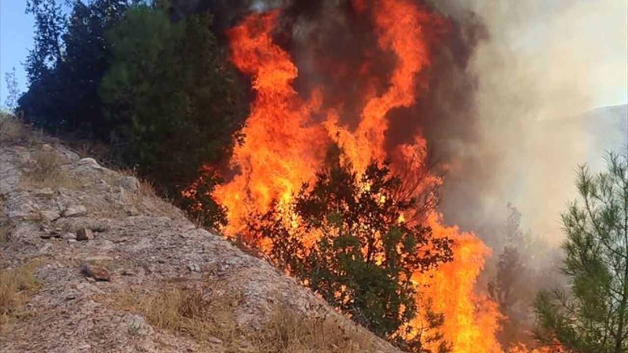 Balıkesir Sındırgı'da Orman Yangını Kontrol Altına Alındı