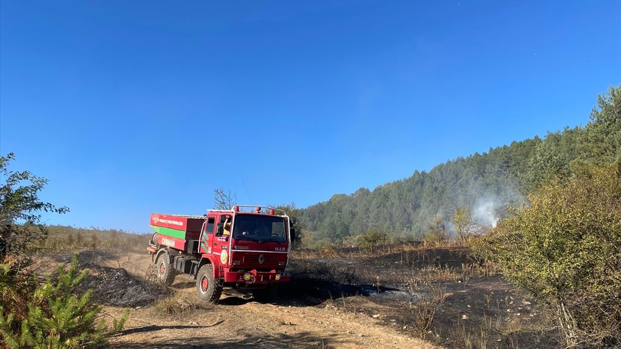 Bilecik Pazaryeri'nde Orman Yangını Havadan ve Karadan Müdahaleyle Kontrol Altına Alındı