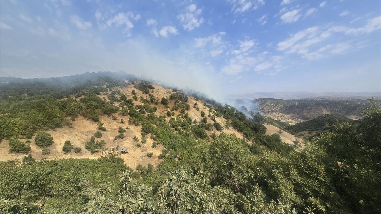 Bingöl Genç'te Orman Yangınına Havadan ve Karadan Müdahale
