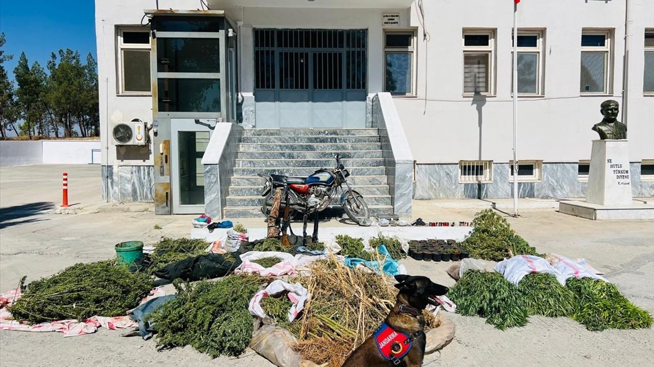 Birecik'te Uyuşturucu Operasyonu: 3 Şüpheli Gözaltında, 56 Kilo 871 Gram Esrar Ele Geçirildi