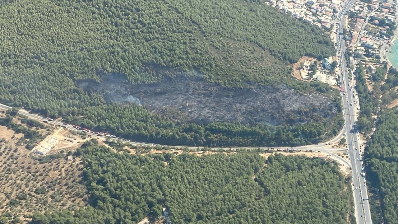 Bodrum'da Orman Yangını Kontrol Altına Alındı