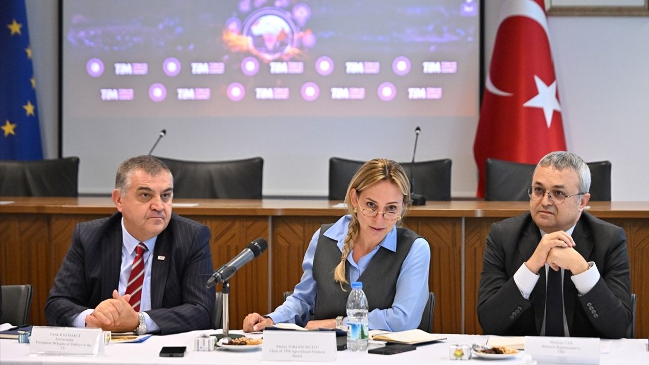 Brüksel'de Türkiye-AB Tarım ve Gıda İşbirliği Görüşüldü