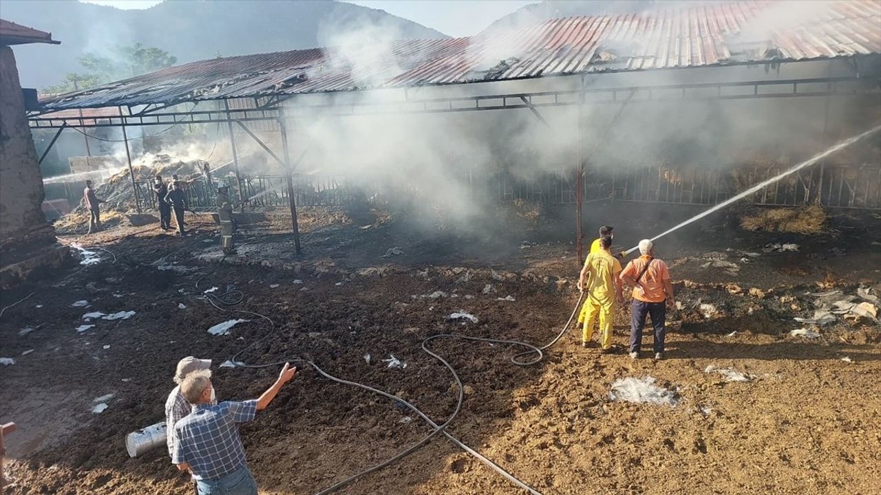 Burdur'da Ahır Yangını: 2 İnek ve 2 Buzağı Telef Oldu
