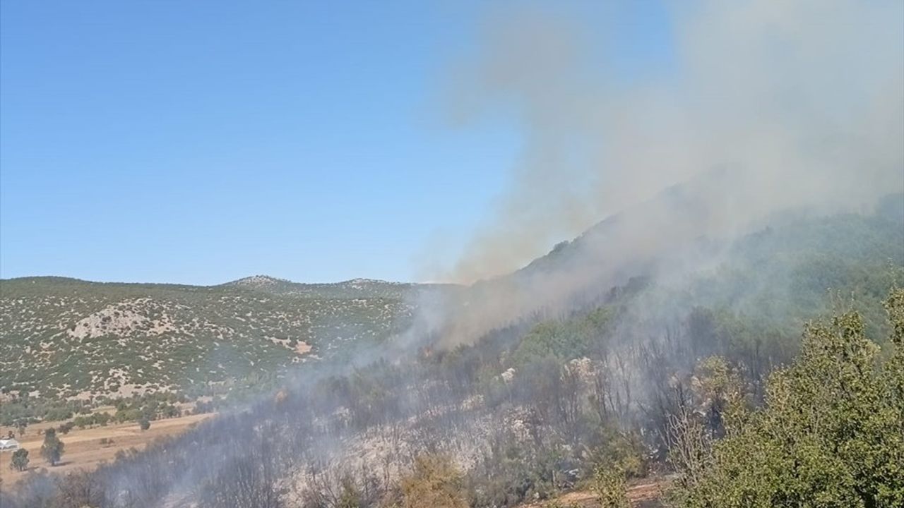 Burdur'da Orman Yangını: Ağlasun Mamak'ta Havadan ve Karadan Müdahale