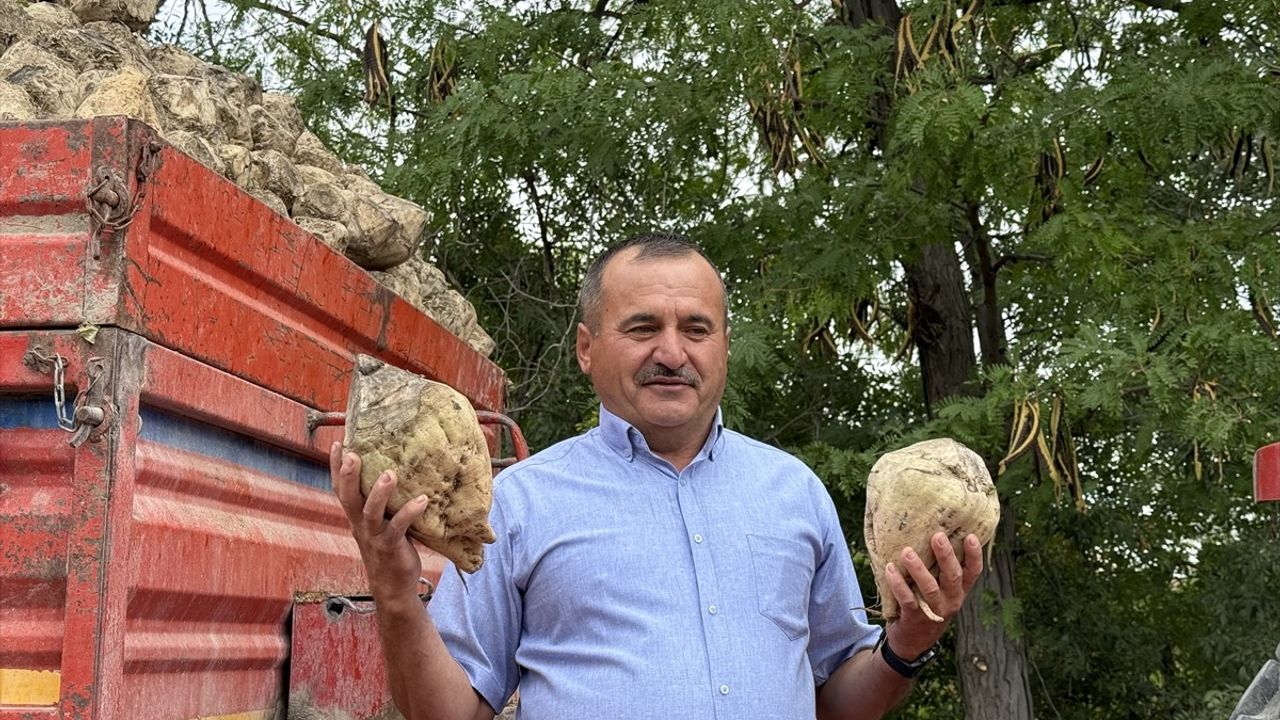 Burdur Şeker Fabrikası 2025-2026'da 75 Bin Ton Kristal Şeker Üretecek