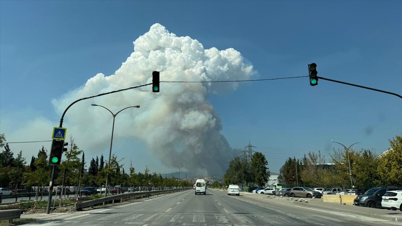 Bursa'da Orman Yangını: Osmangazi'de Havadan ve Karadan Müdahale