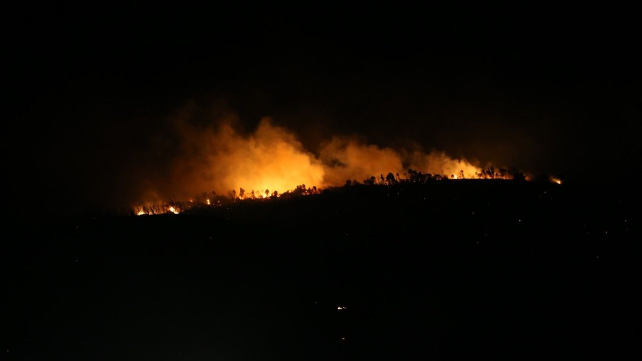 Bursa Karacabey'de Orman Yangını Kontrol Altına Alındı