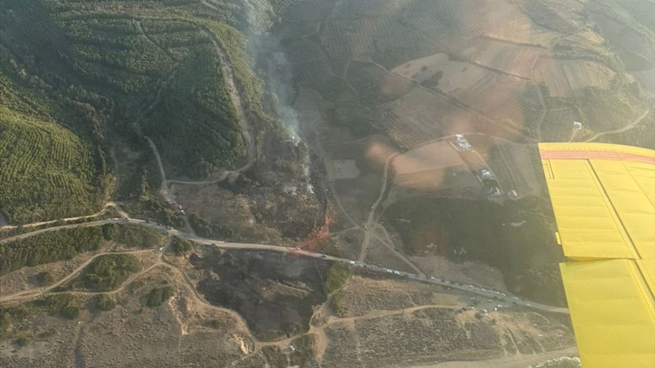 Bursa Mudanya'da Orman Yangını: Eğerce ve Söğütpınar Arasında