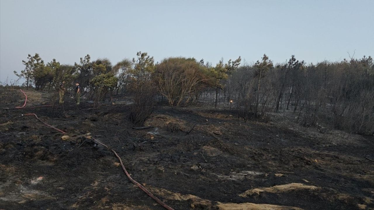 Bursa Mudanya'da Orman Yangını Kontrol Altına Alındı