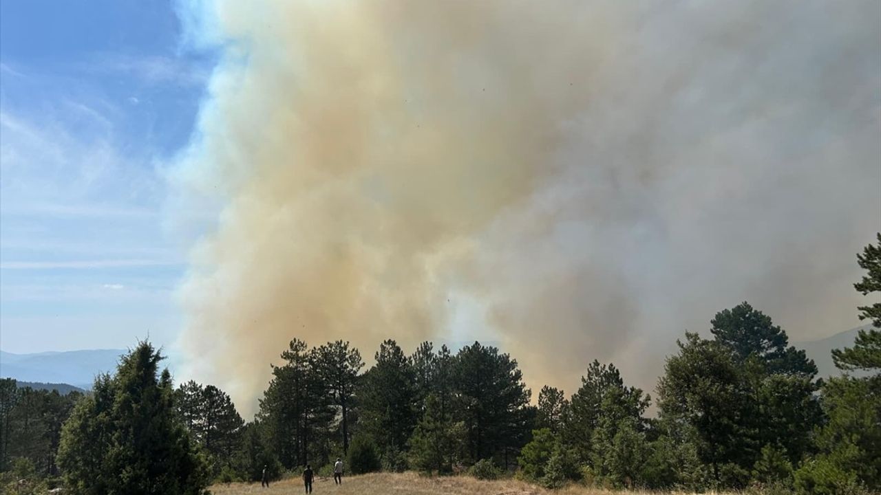 Bursa Orhaneli'de Orman Yangını Kontrol Altına Alındı