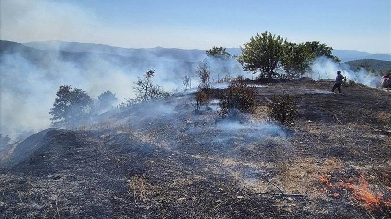 Bursa Orhaneli'de Orman Yangını: Havadan ve Karadan Müdahale Sürüyor