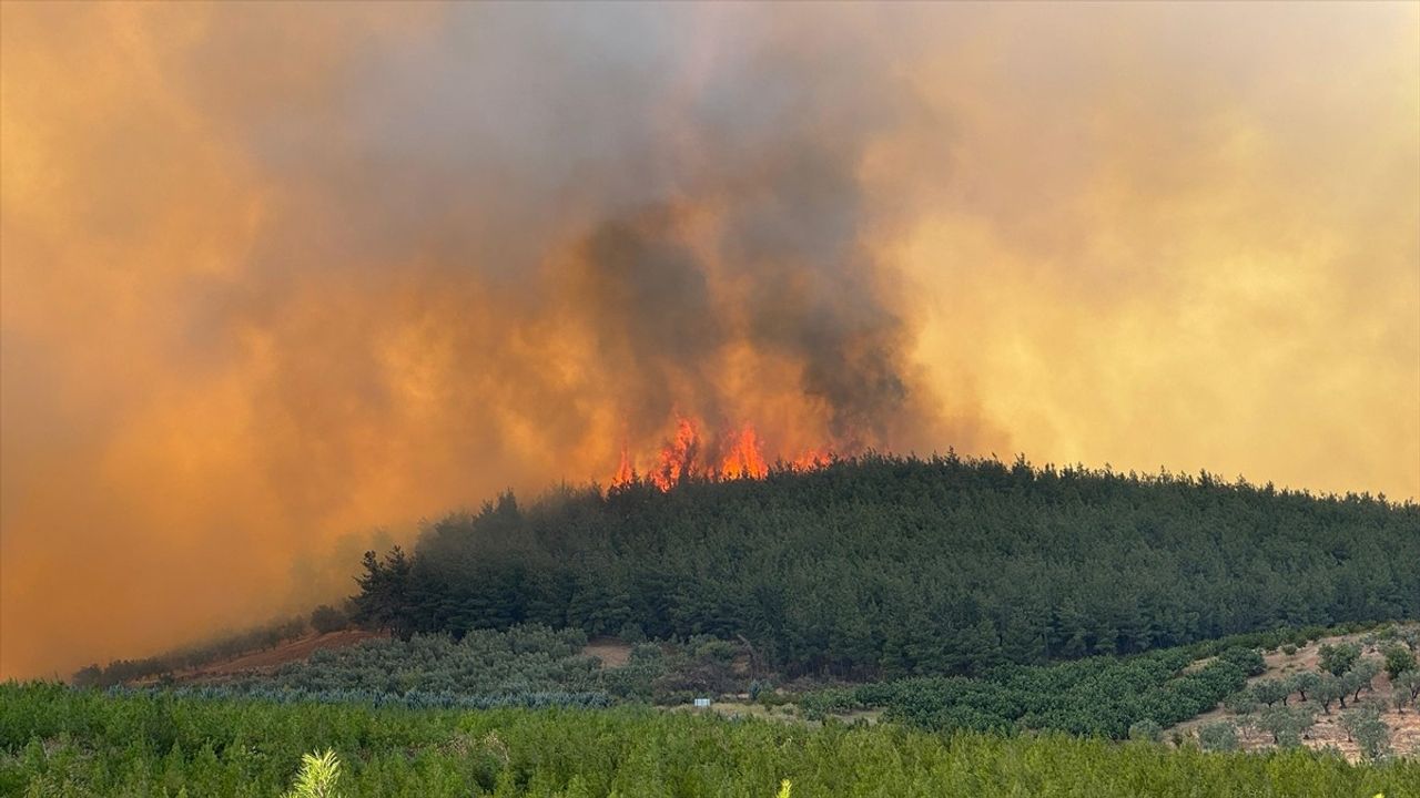 Bursa Osmangazi'de Orman Yangınına Müdahale Sürüyor