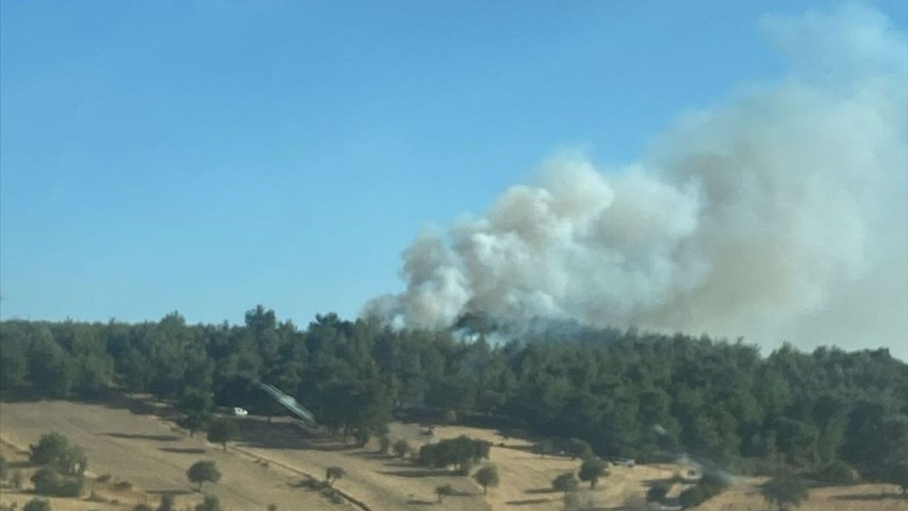 Çanakkale Ezine'de Tarım Yangını Ormana Sıçradı — Havadan ve Karadan Müdahale