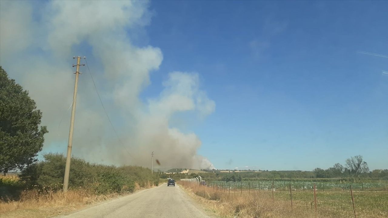 Çanakkale Ezine'de Zeytinlikten Ormana Sıçrayan Yangına Hava ve Kara Müdahalesi