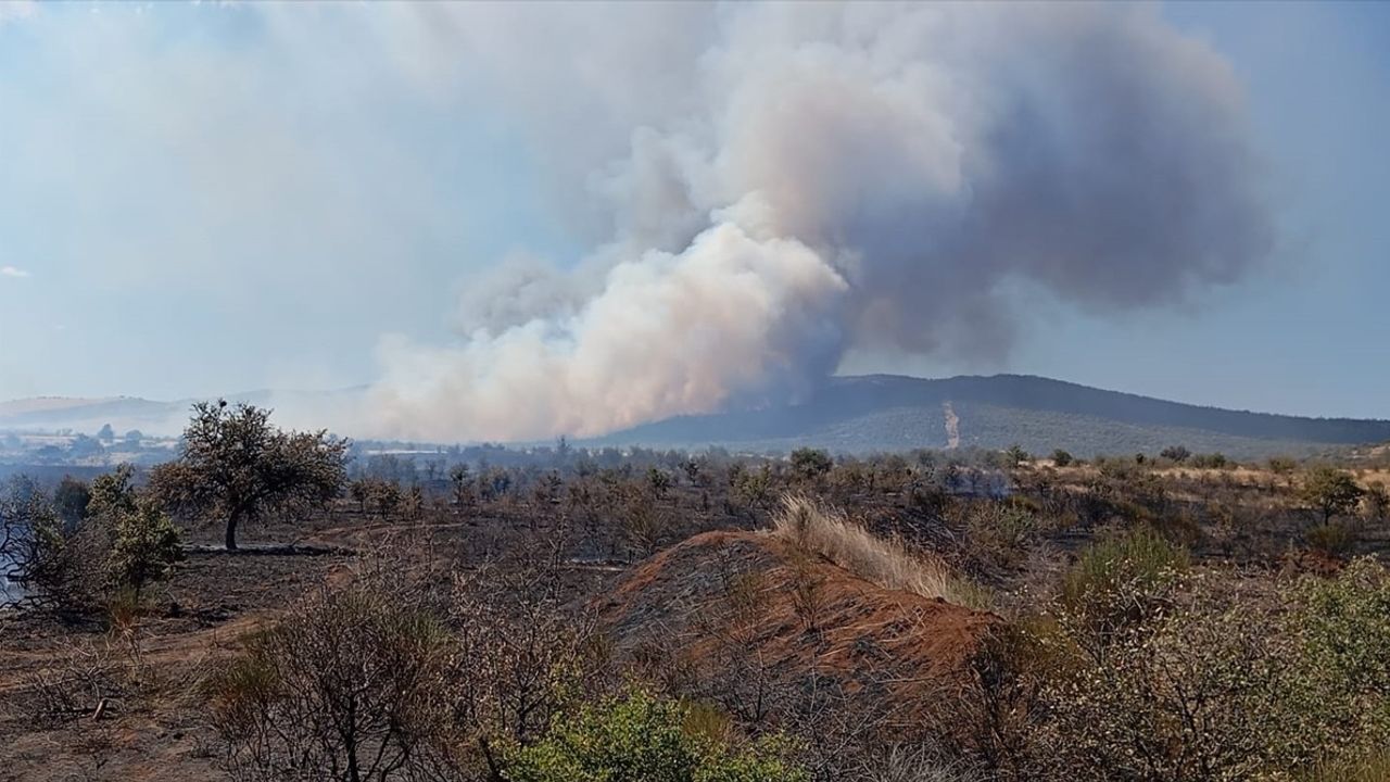 Çanakkale Gelibolu'da Tarım Arazisi Yangını — Havadan ve Karadan Müdahale