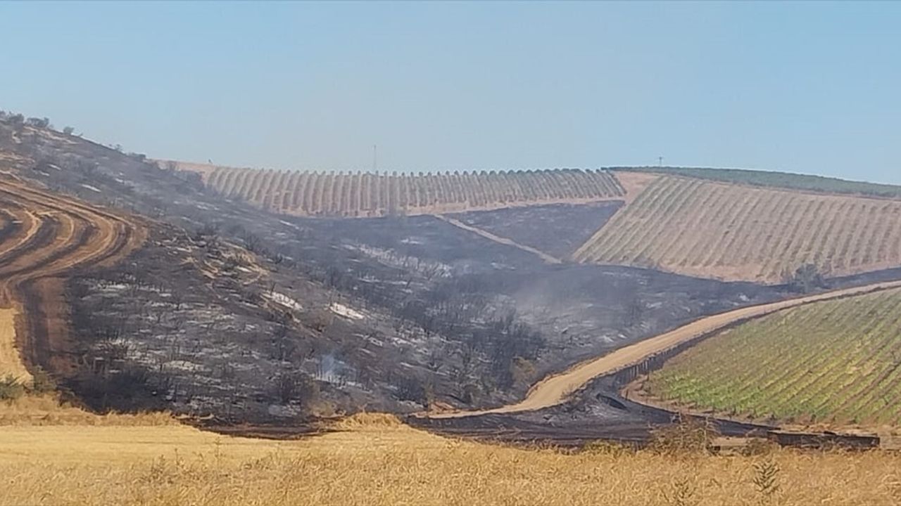 Çanakkale Gelibolu'da Tarım Arazisi Yangını Kontrol Altına Alındı