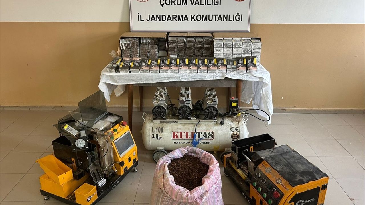 Çorum Alaca'da Kaçak Sigara Operasyonu: İ.A. Gözaltında