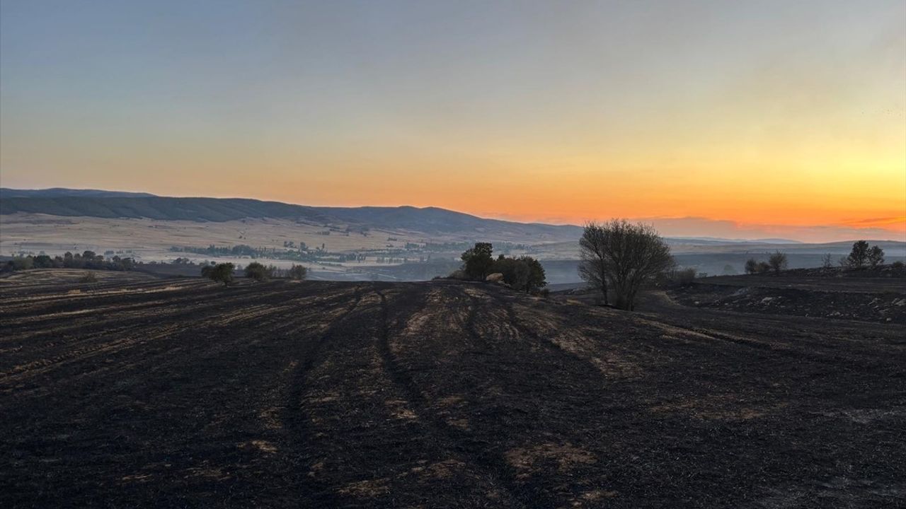 Çorum Alaca'da Orman Yangını: 30 Kişilik Ekip Müdahale Ediyor