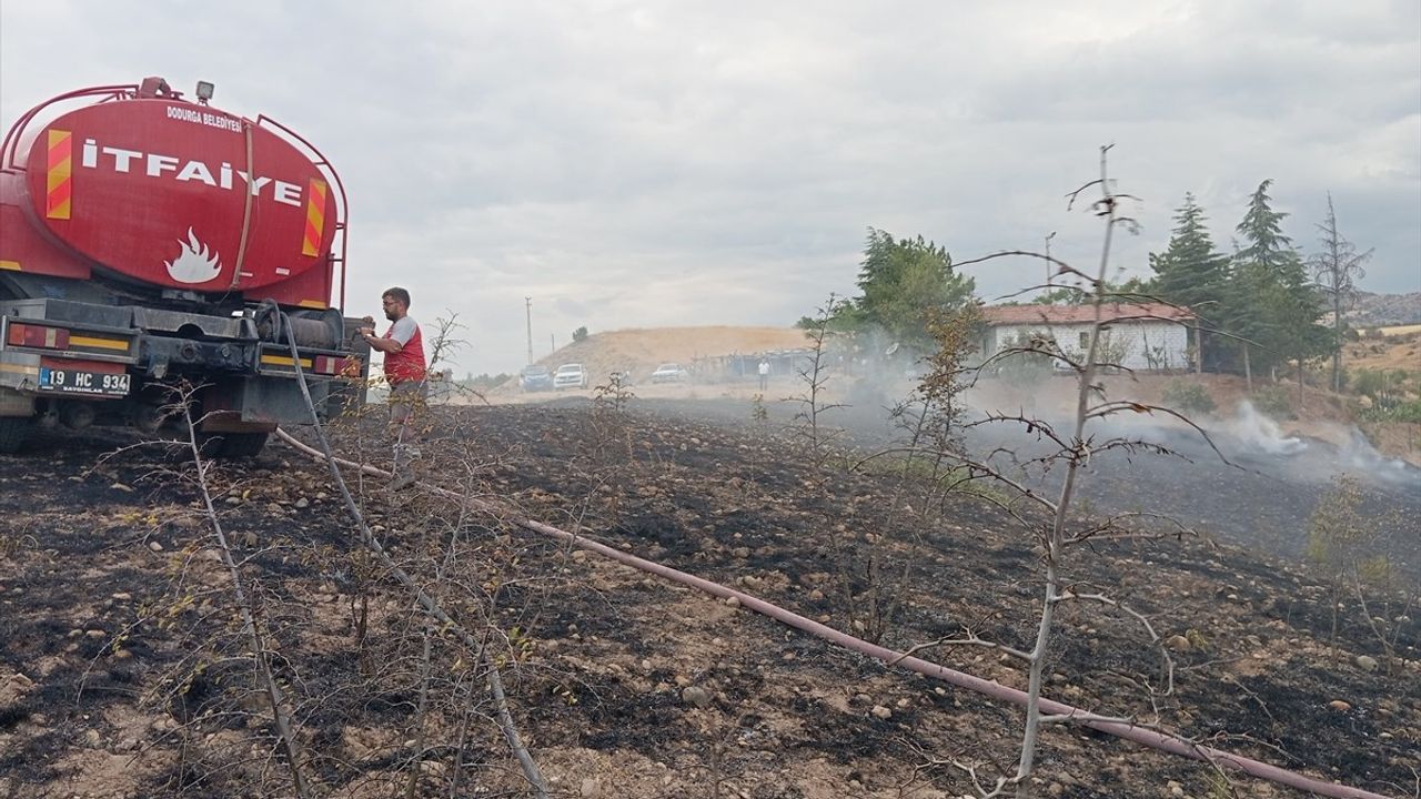 Çorum Dodurga'da Yangın: 10 Dekar Ağaçlık Alan Zarar Gördü