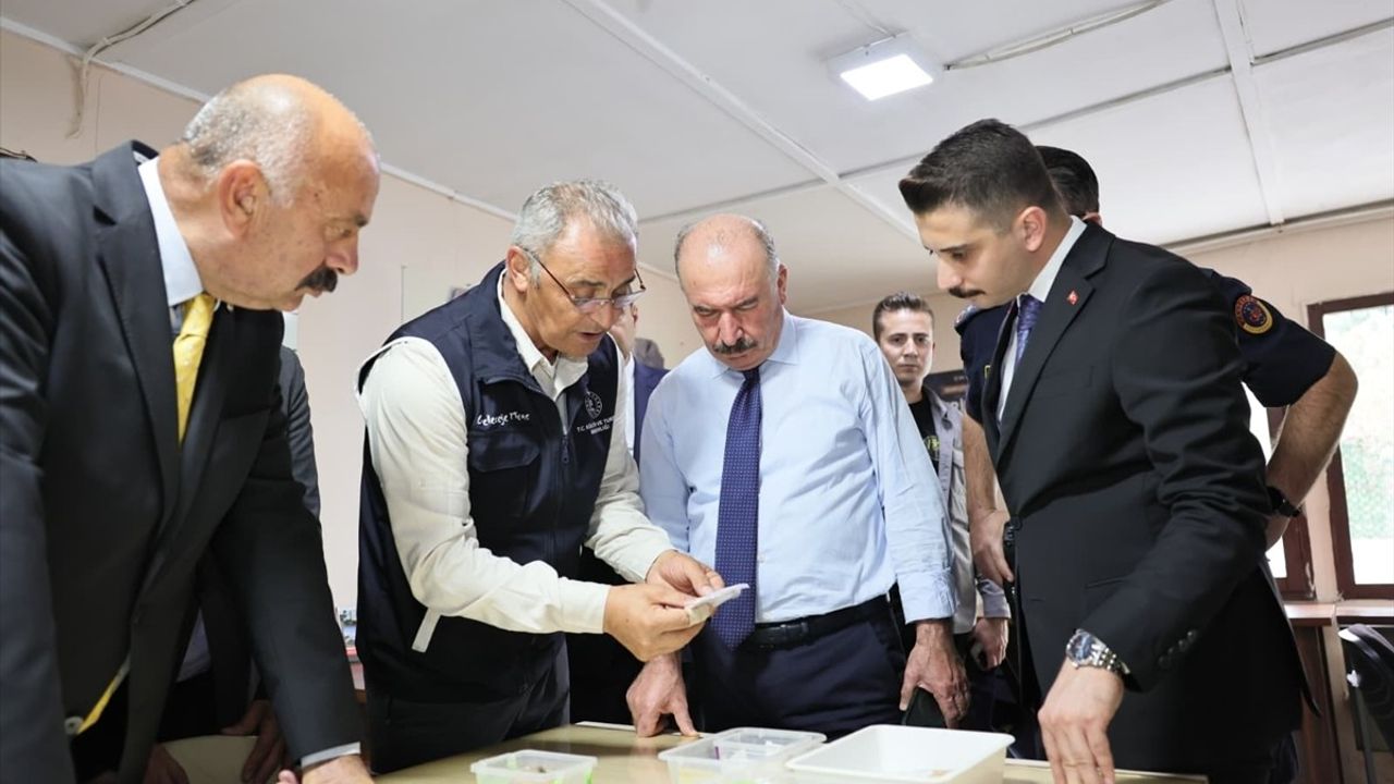 Çorum Valisi Ali Çalgan Şapinuva Antik Kenti'nde Kazı Çalışmasını İnceledi