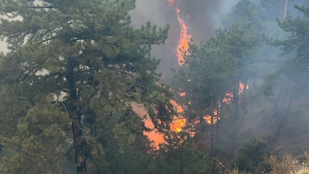 Denizli Buldan'da 4. Gün: Orman Yangınına 14 Hava Aracıyla Müdahale