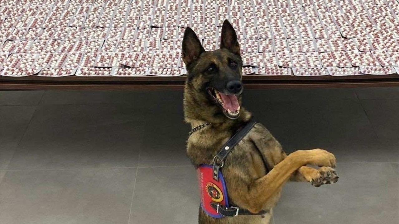 Denizli'de Valizinde 10 bin 156 Hap Bulunan Şüpheli Tutuklandı