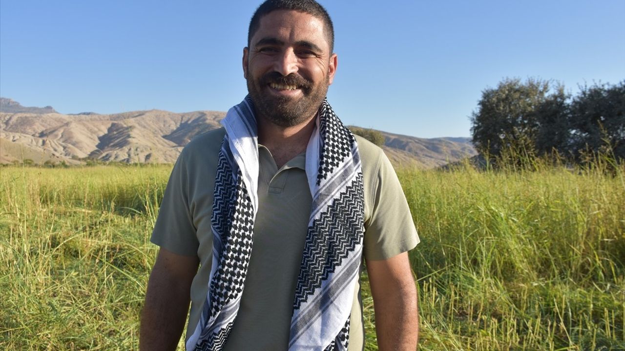 Dergul Tahini Tesciliyle Şırnak'ta Susam Ekimi ve Hasadı Arttı