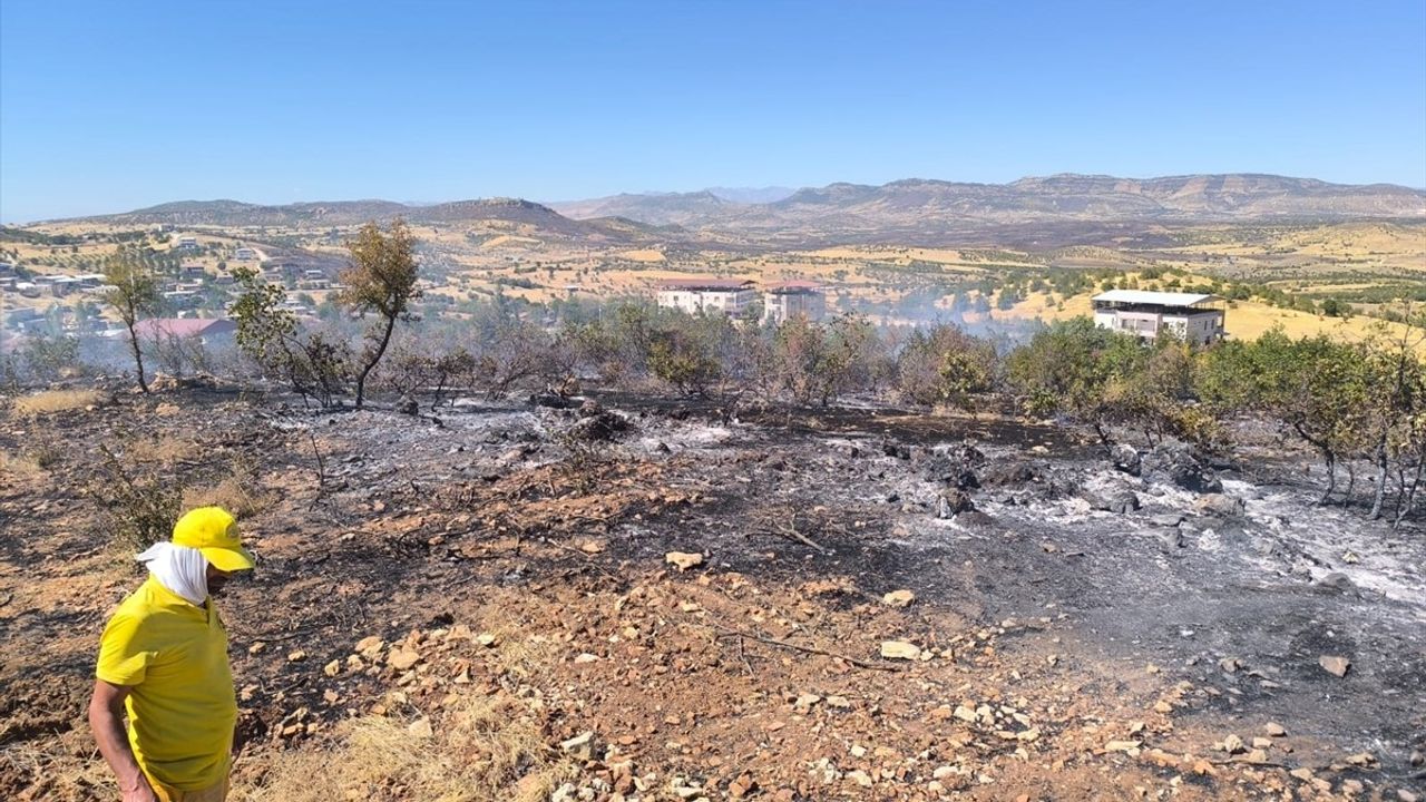 Diyarbakır'da 3 Noktada Örtü Yangınları Söndürüldü