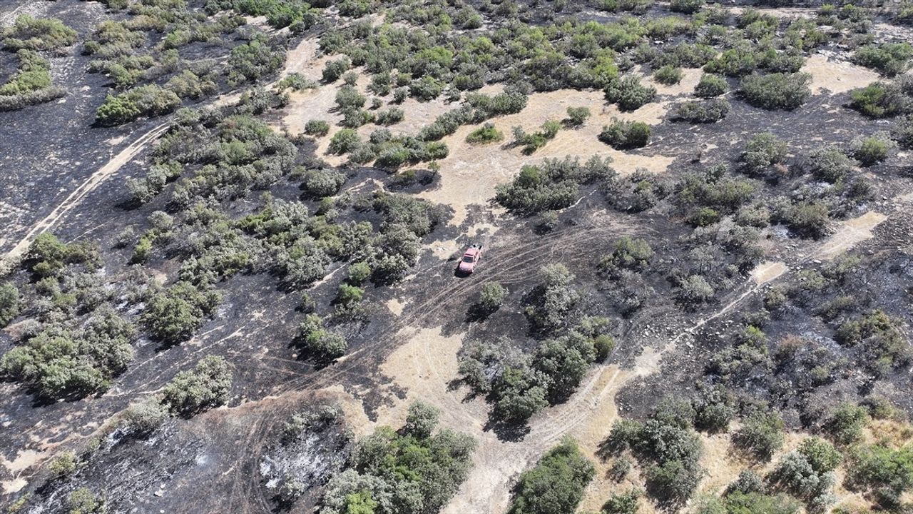 Diyarbakır Silvan'da örtü yangını kontrol altına alındı