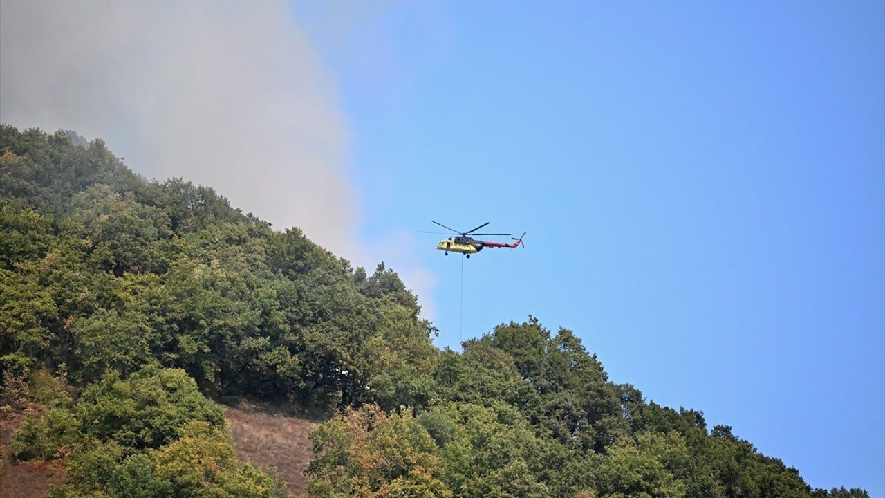 Düzce'de Orman Yangınına Müdahale: Son Durum