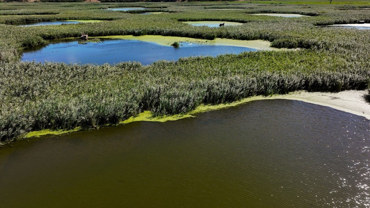 Edirne'de Kuraklığa Direnen Vaha: Göl Baba Sulak Alanı
