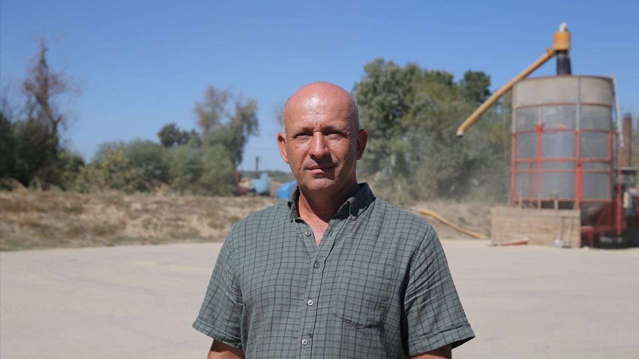 Edirne'de Kuraklık 2025'te Ayçiçeği Verimini Düşürdü