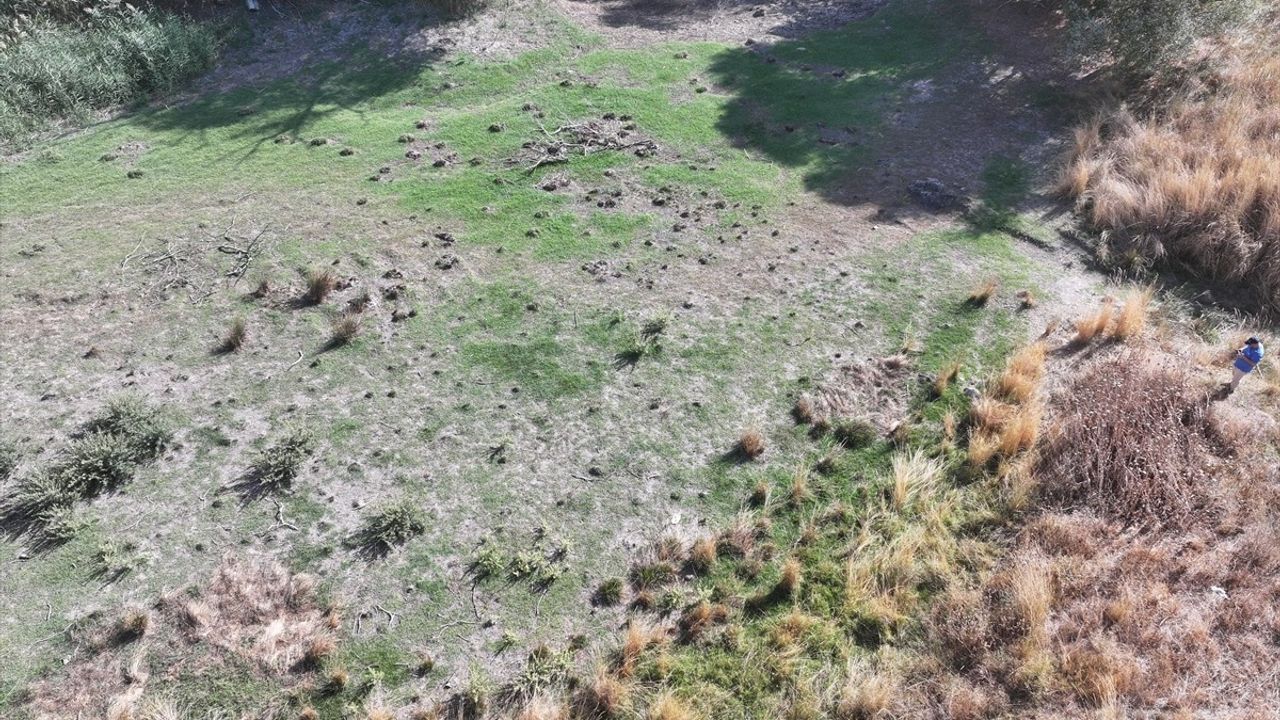 Edirne'de Musabeyli Göleti Kuraklık Nedeniyle Tamamen Kurudu