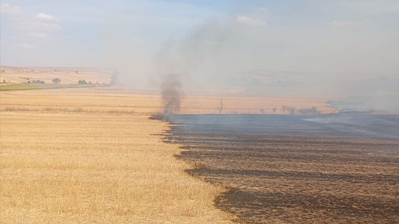 Edirne Keşan'da Anız Yangını: Yaklaşık 3 Bin Dekar Zarar